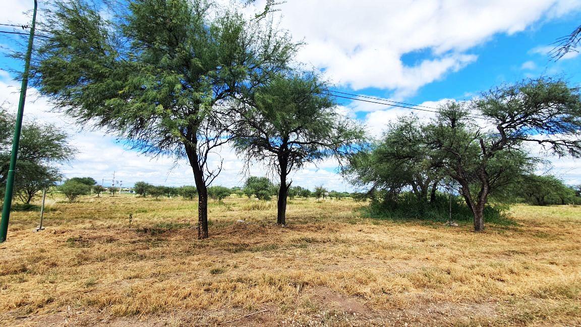 Terreno #2 1000 m2 Estancia larga VENTA Merlo San Luis